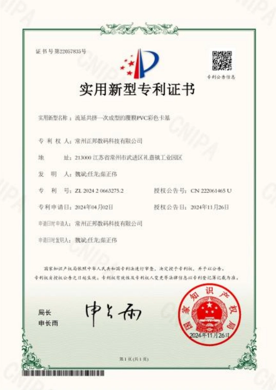 China Utility Model Patent